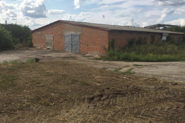 Elevator for 12 tons of storage in Kirovograd region for sale