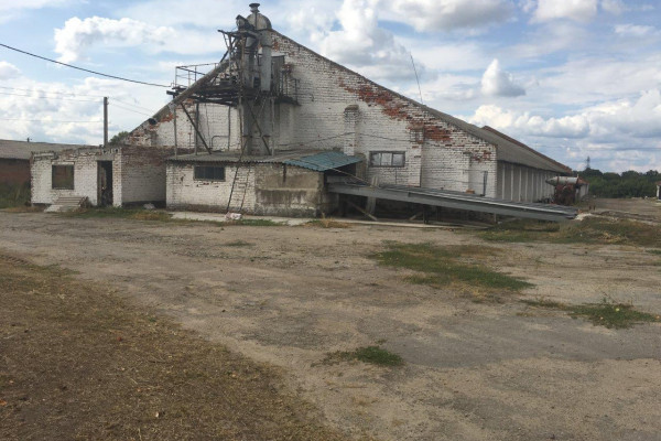 Elevator for 12 tons of storage in Kirovograd region for sale