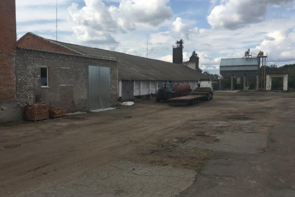 Elevator for 12 tons of storage in Kirovograd region for sale