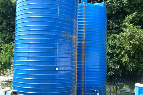 Greenhouse complex for growing strawberries, blueberries and honeysuckle