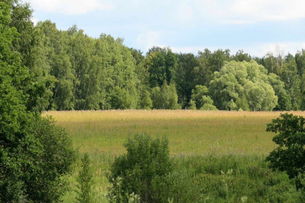 Участки под жилую застройку вблизи Киева под программу восстановления жилья