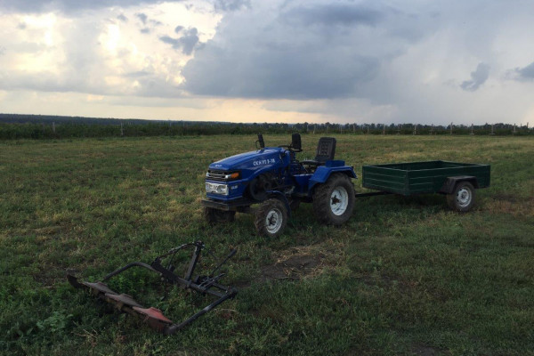 Organic Berry Farm, 100km South from Kyiv