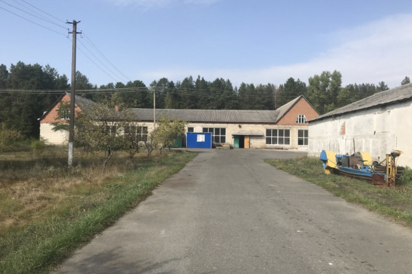 Выращивание и продажа товарной рыбы (карп, толстолоб, белый амур)