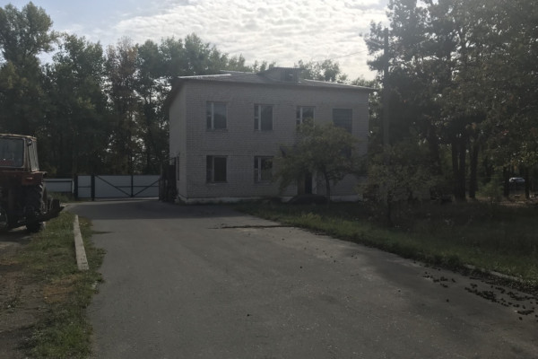 Выращивание и продажа товарной рыбы (карп, толстолоб, белый амур)