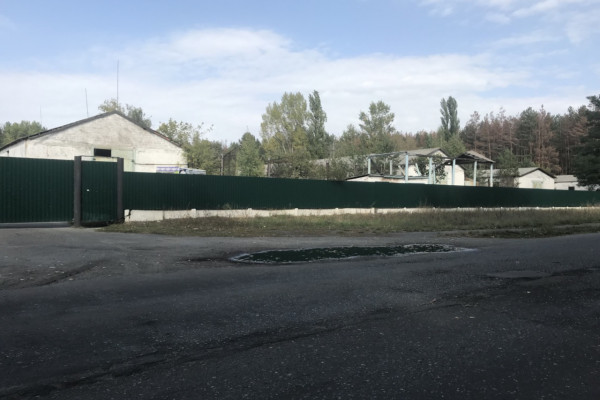 Выращивание и продажа товарной рыбы (карп, толстолоб, белый амур)