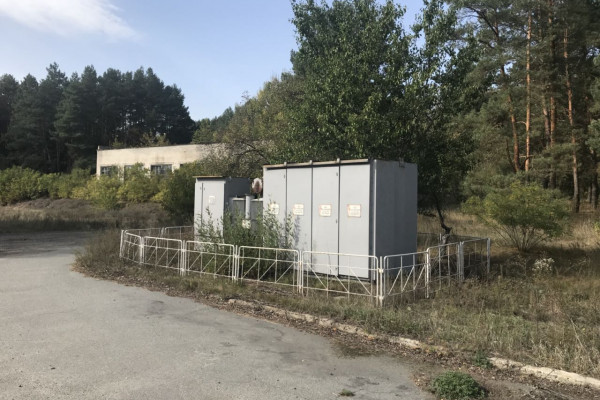 Выращивание и продажа товарной рыбы (карп, толстолоб, белый амур)