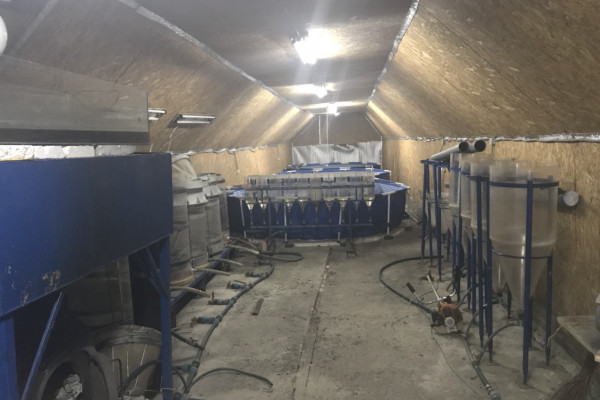 Выращивание и продажа товарной рыбы (карп, толстолоб, белый амур)