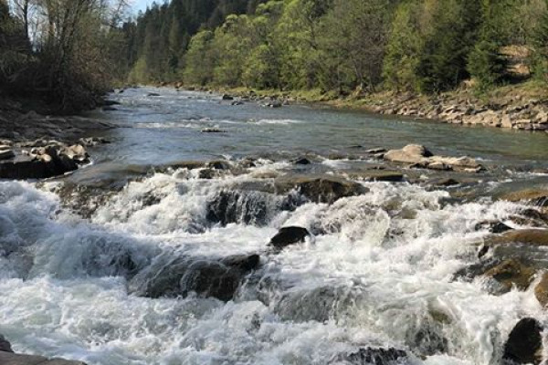  Дмитрий Никифоров закрыл сделку по покупке 100% мизуньского завода минеральных вод