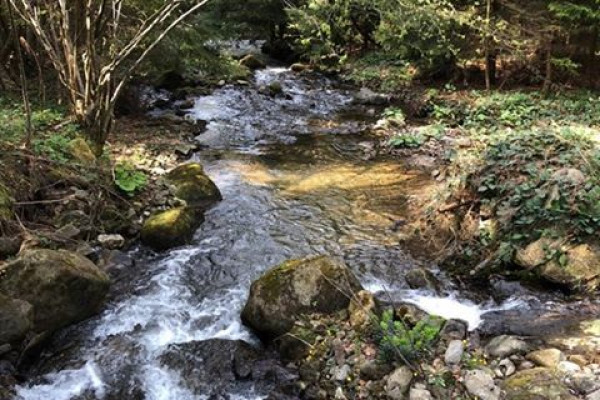  Дмитрий Никифоров закрыл сделку по покупке 100% мизуньского завода минеральных вод