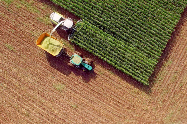 Продажа агрокомпании с земельным банком 3200 га в Житомирской области