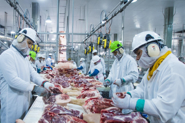 One of the largest meat processing plant in Ukraine for sale or co-investment