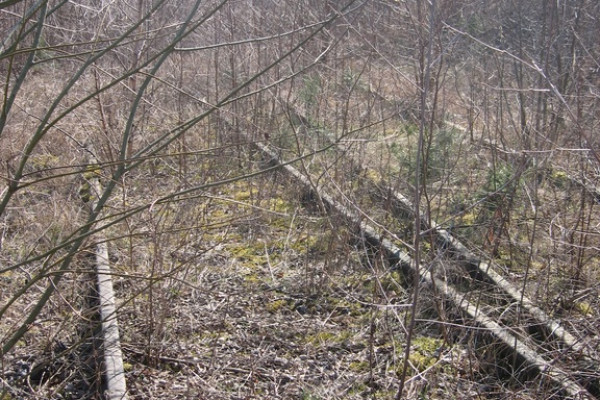 Действующий завод по металлообработке рядом со Львовом и границей ЕС