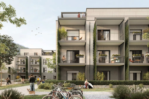 Привлечение инвестиций в «Tesla европейского строительства»