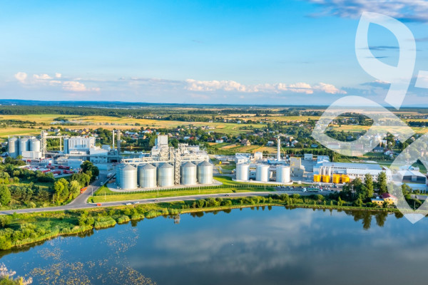 Оліяр інвестує у будівництво нової птахофабрики у Львівській області на 2,3 млн курей