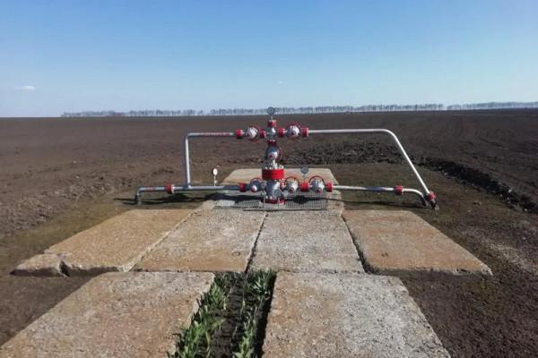 На продаж выставили нефтегазовую компанию со спецразрешениями и производственными мощностями за 50 млн грн