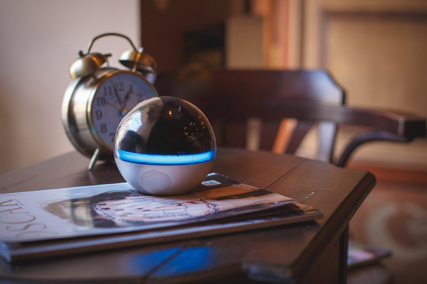 Robot for human. How Ukrainian company Branto creates the future today