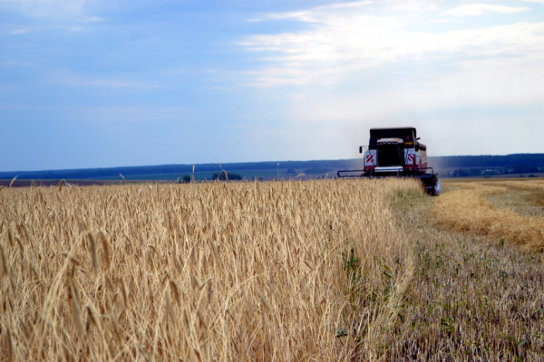 Агропредприятие в Запорожской области
