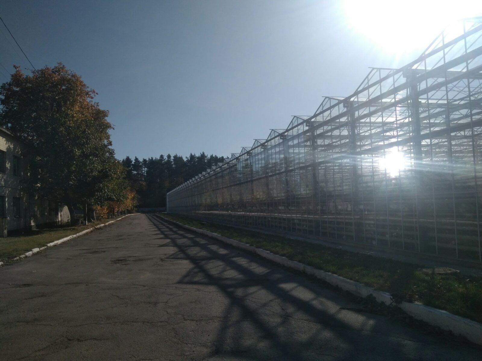Greenhouse complex in Vinnytsia region InVenture