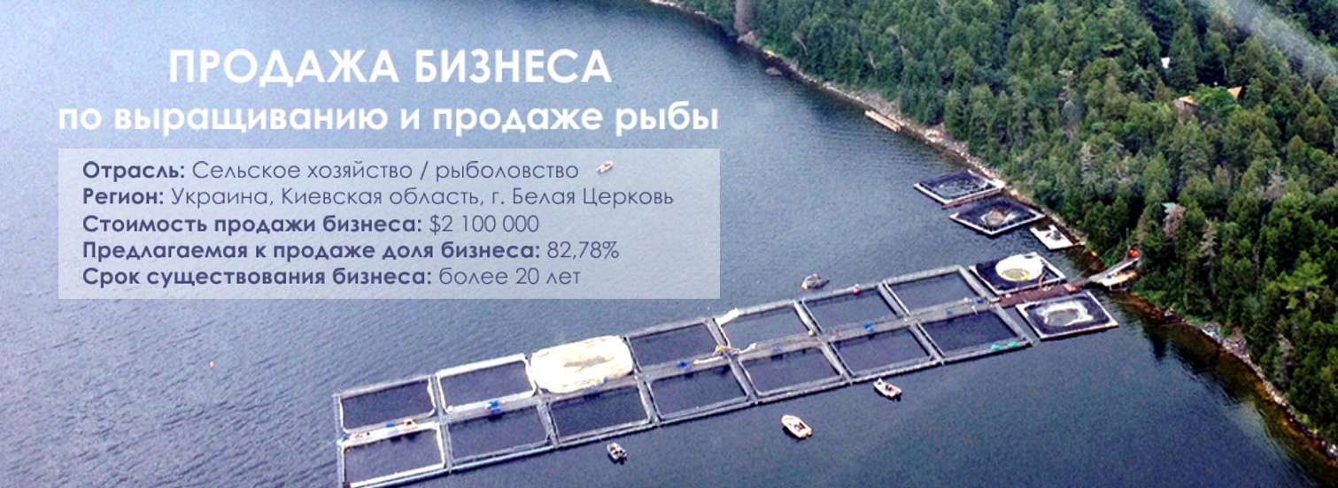Рынок рыбного хозяйства Украины