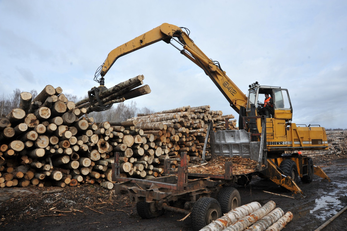 Timber processing plant in Mukachevo InVenture