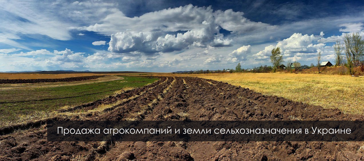 Станет ли рынок земли в Украине цивилизованным?