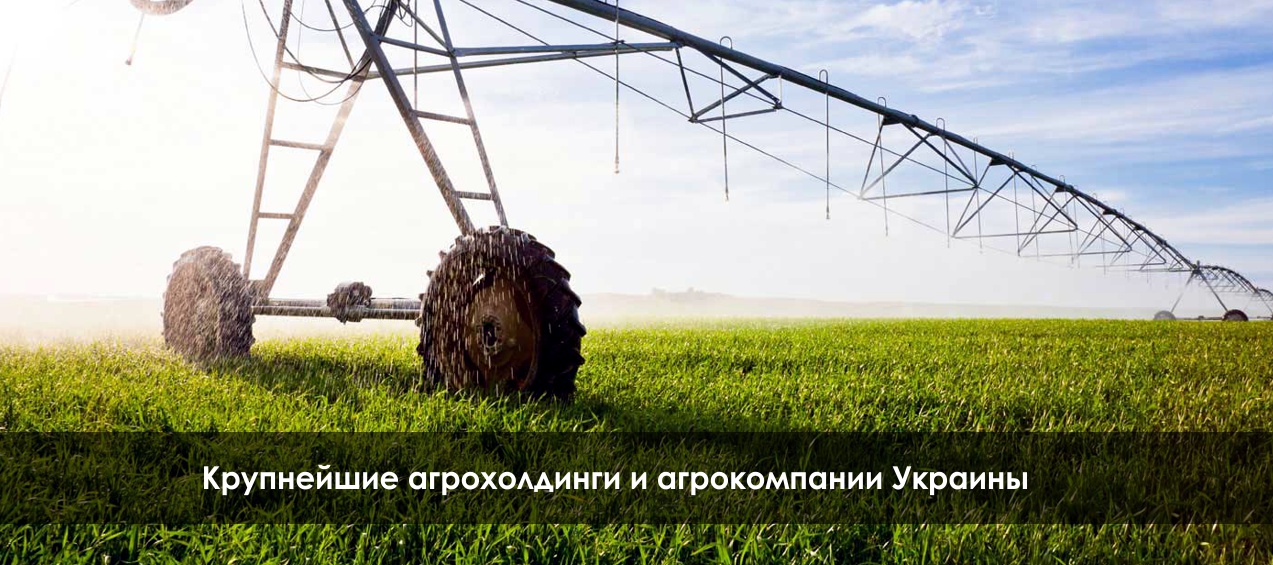 Крупнейшие агрохолдинги и агрокомпании Украины