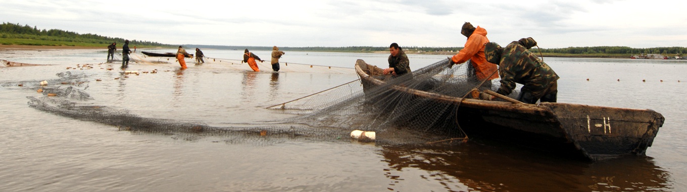 Сельскохозяйственный комплекс с рыбной специализацией