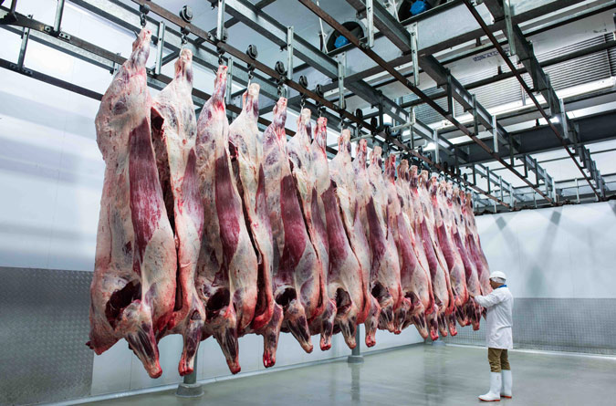 Глобальный рынок мяса и инвестиционные возможности в Украине