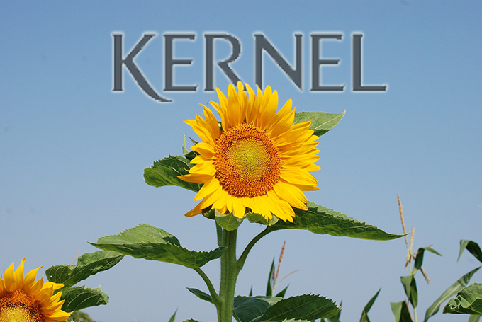 2f8f0bc-kernel
