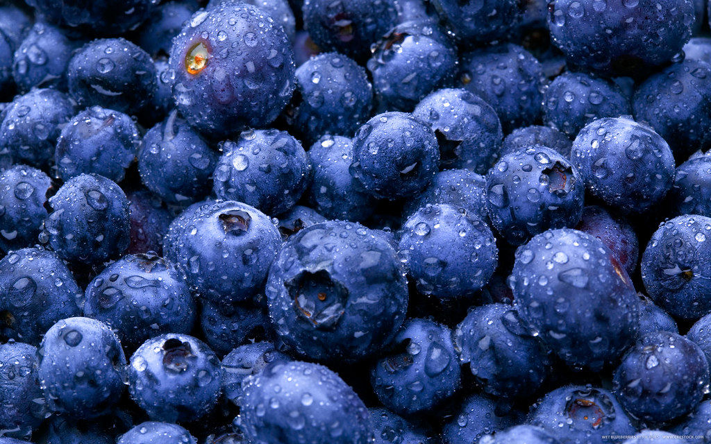blueberry-market-ua