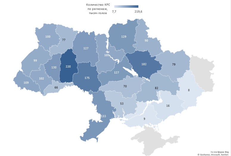 Анализ рынка говядины в Украине