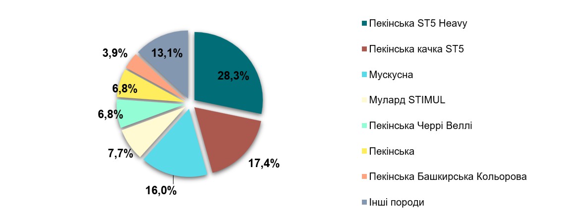 Аналіз ринку качиного мяса в Україні